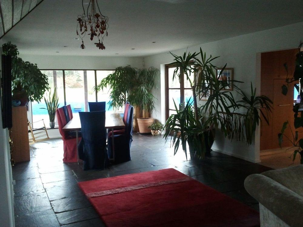 The Village Studio Apartments Моут Екстериор снимка